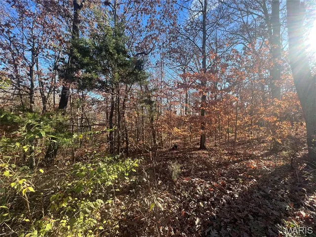 $6,000 | 14234 Lucas Drive, De Soto, MO 63020