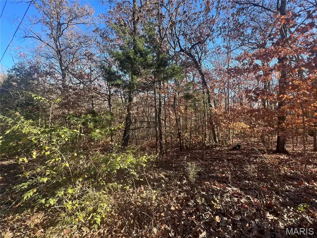 $6,000 | 14234 Lucas Drive, De Soto, MO 63020