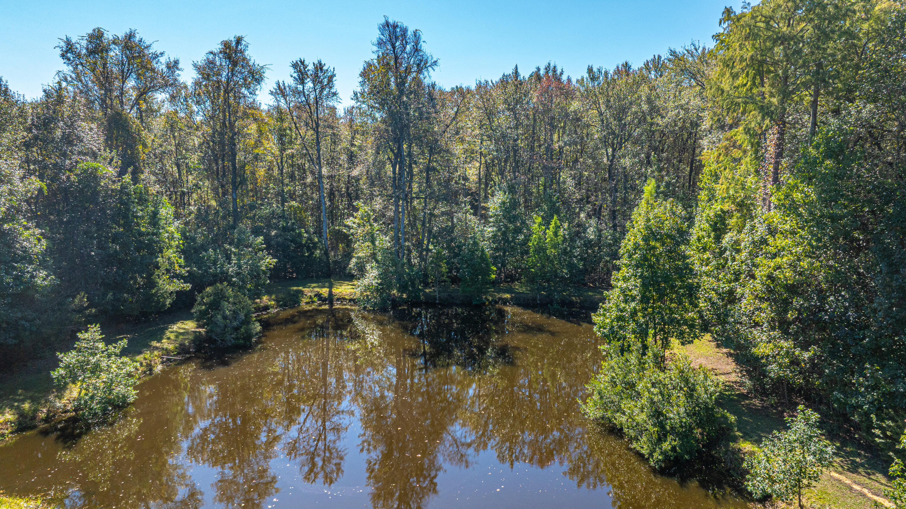 2718 South Hampton Road Huger, SC 29450 - Photo 70 of 80 2718SHamptonRd069
