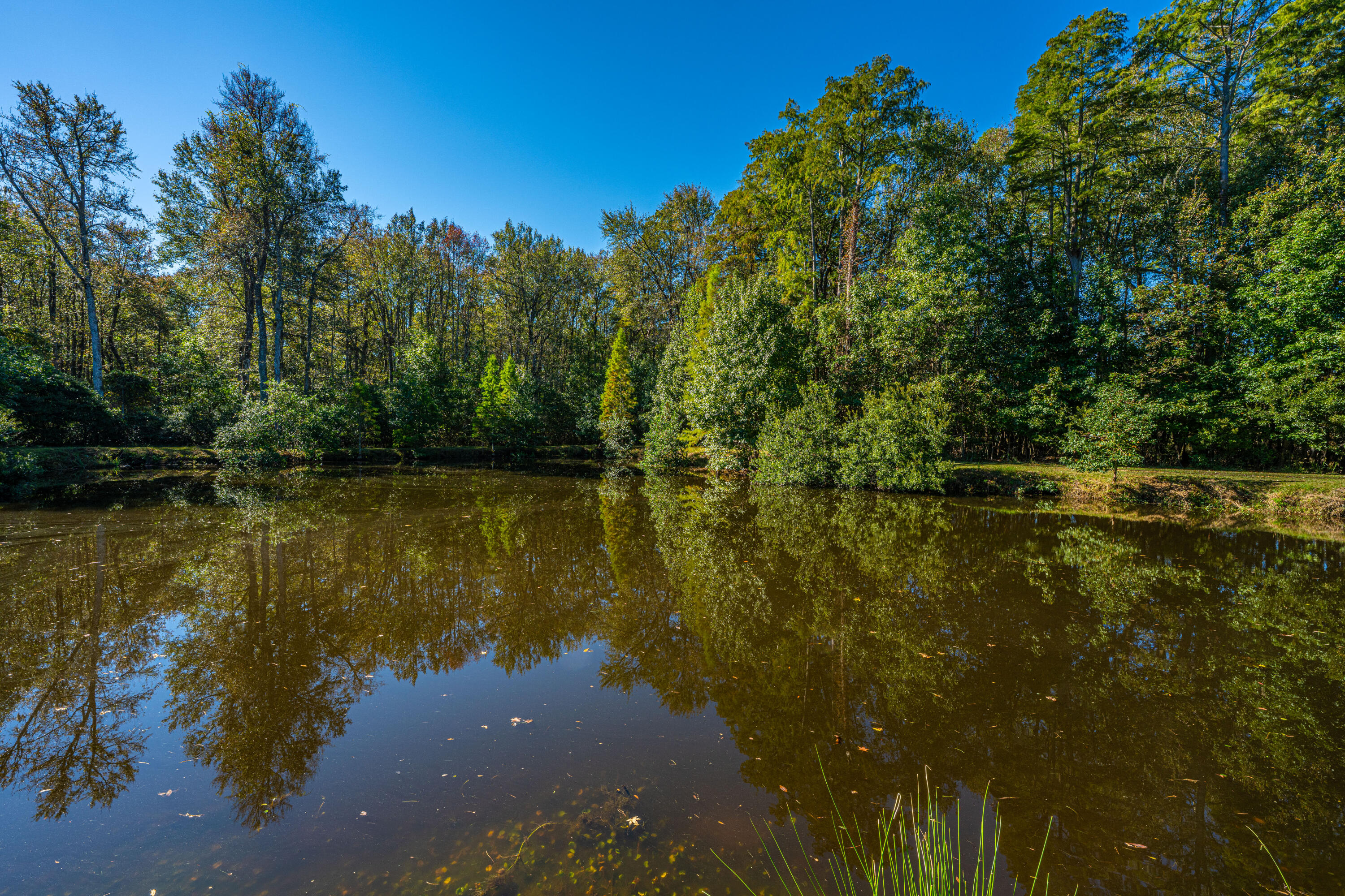 2718 South Hampton Road Huger, SC 29450 - Photo 75 of 80 2718SHamptonRd006