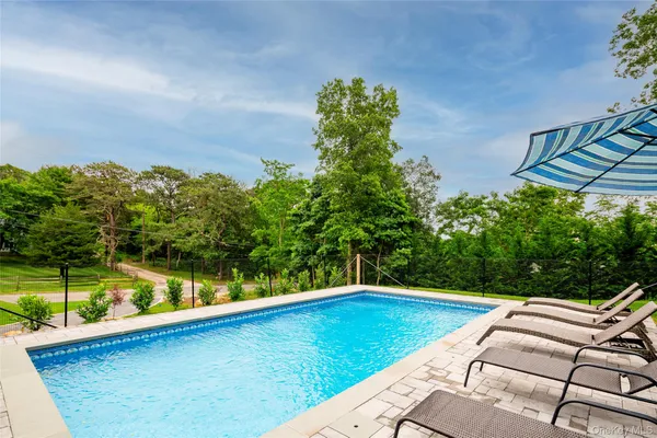 a view of a swimming pool with a yard