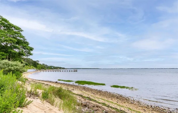 a view of a field with an ocean and trees in the background