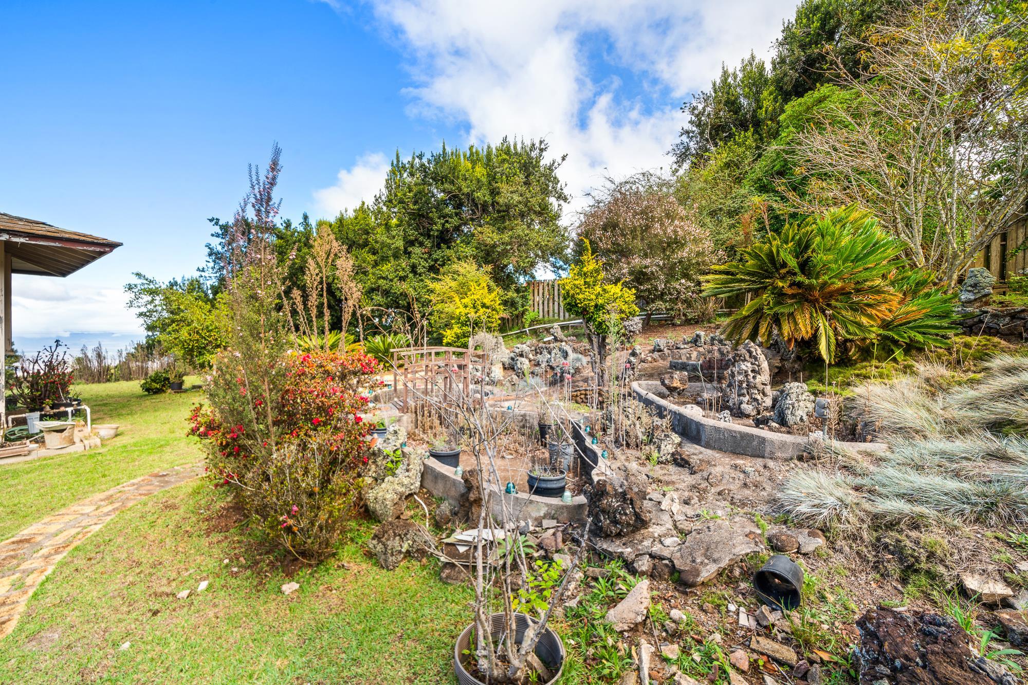 1375 Copp Road Kula, HI 96790 - Photo 28 of 35 a view of a yard with swimming pool