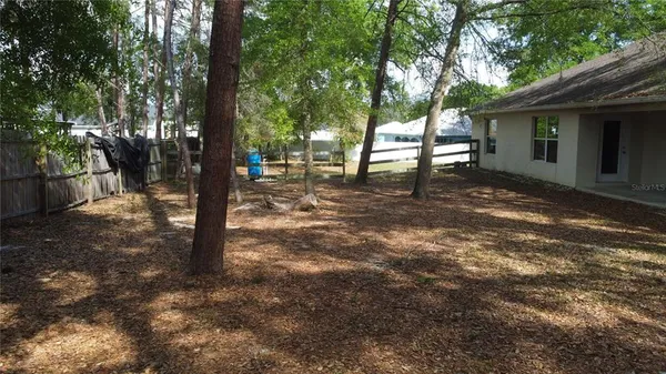 a view of a tree in the backyard of a house