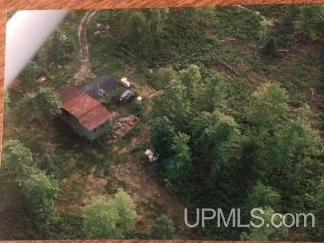 Tbd Off Newberg Road Channing, MI 49815 - Photo 2 of 2