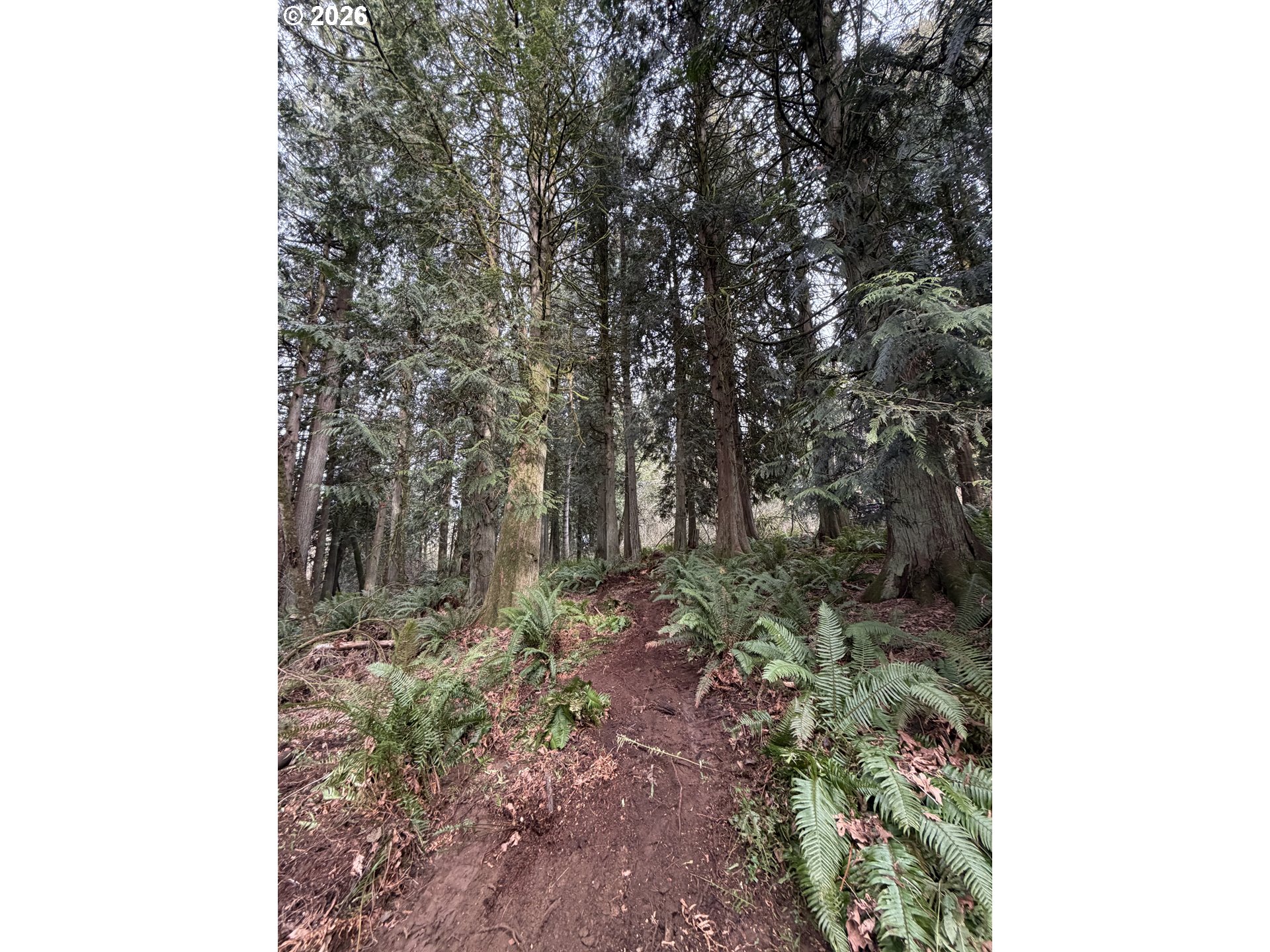 Meserve Road Rainier, OR 97048 - Photo 11 of 16