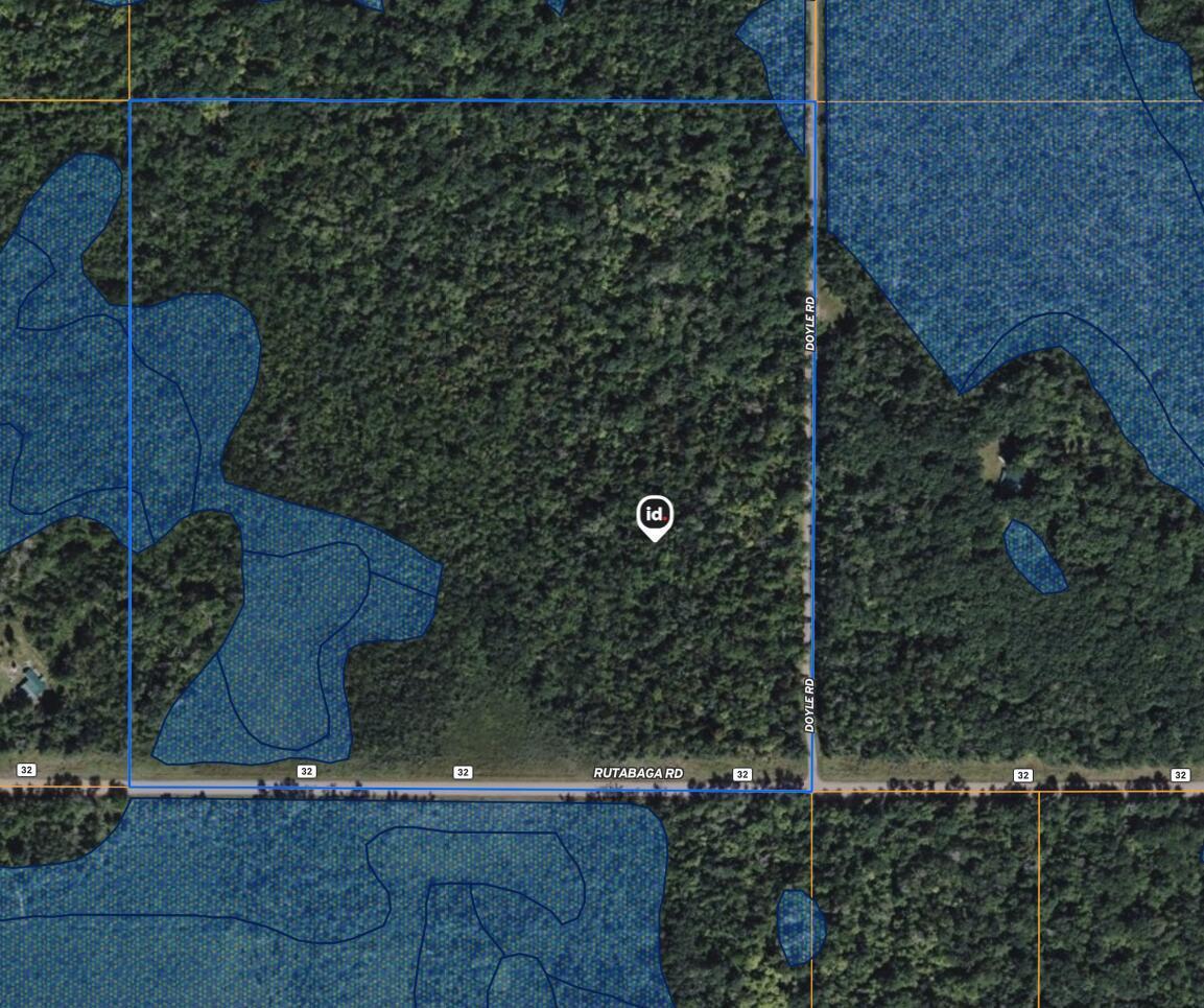 0 Doyle Road Sandstone, MN 55072 - Photo 4 of 6