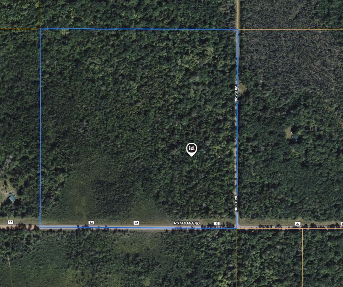 0 Doyle Road Sandstone, MN 55072 - Photo 5 of 6