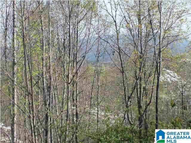 Bowden Ridge Drive, Unit 5 22 Lineville, AL 36266 - Photo 5 of 8