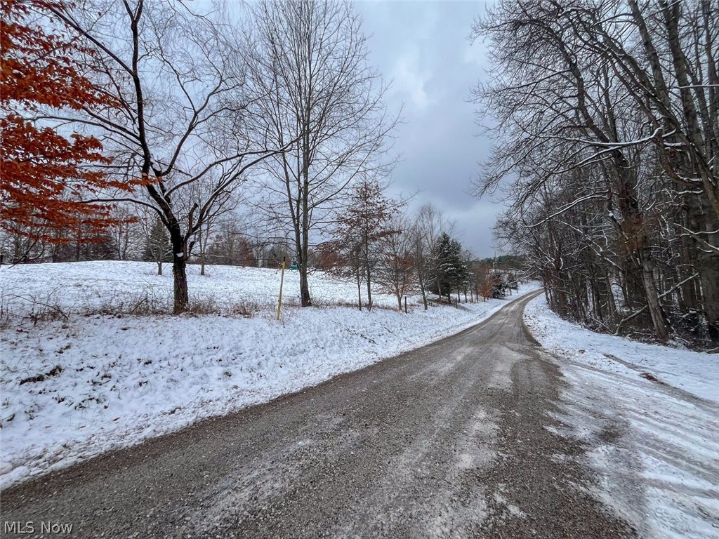 87085 Crall Road Scio, OH 43988 - Photo 28 of 30