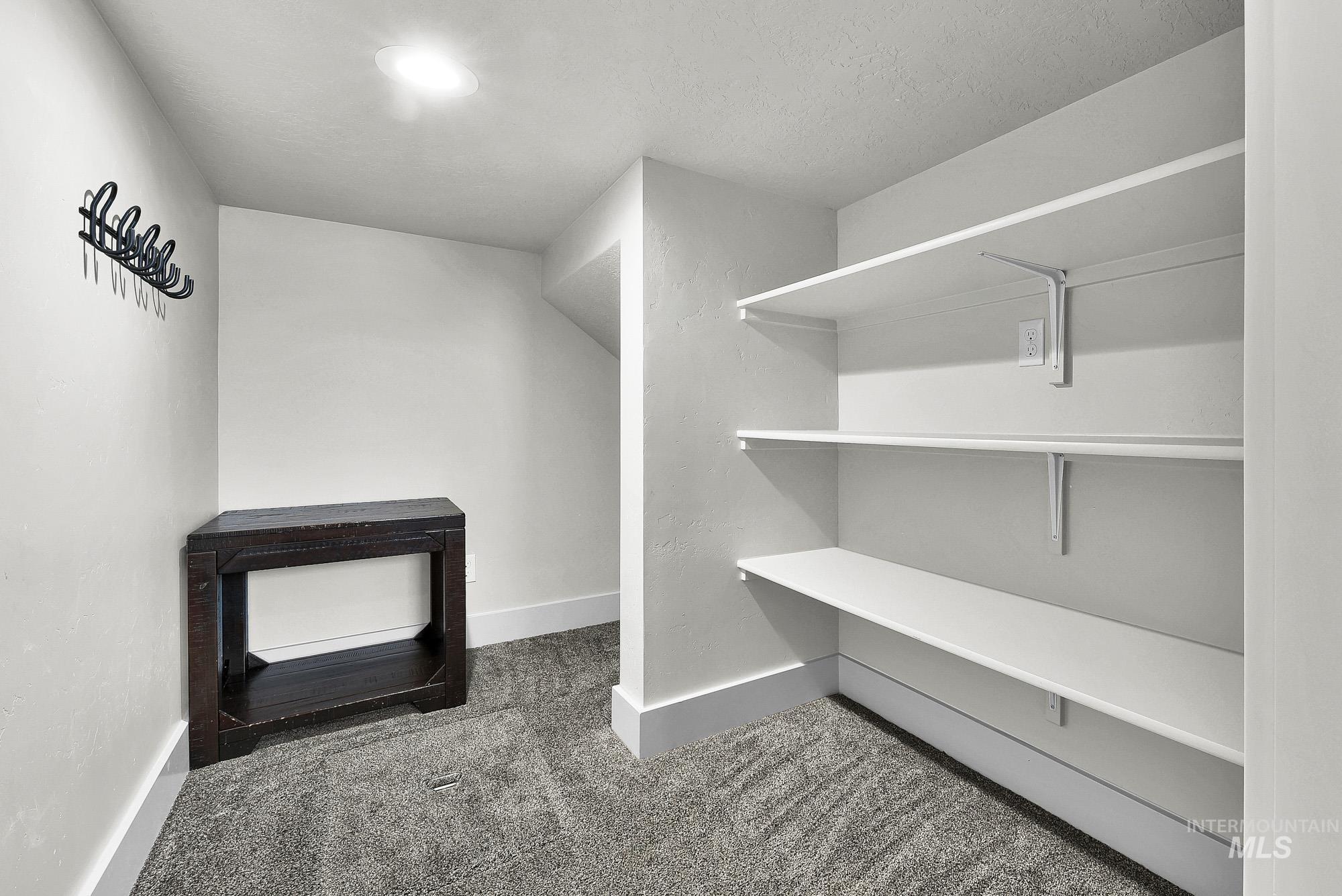 5676 East Zaffre Ridge Street Boise, ID 83716 - Photo 6 of 50 Recessed lighting illuminates a carpeted storage area with built-in shelving