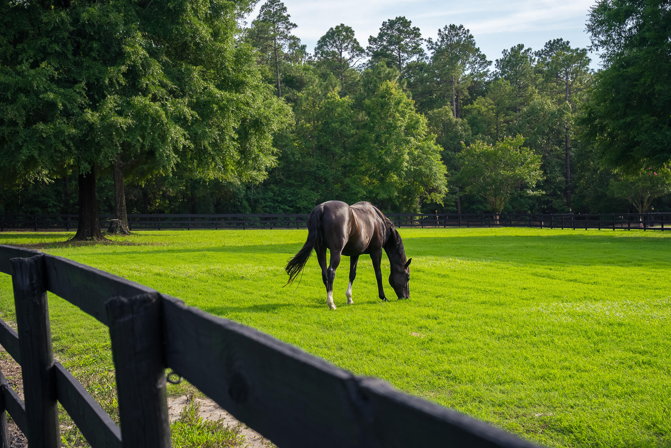 500 Burkelo Road Wagener, SC 29164 - Photo 8 of 80