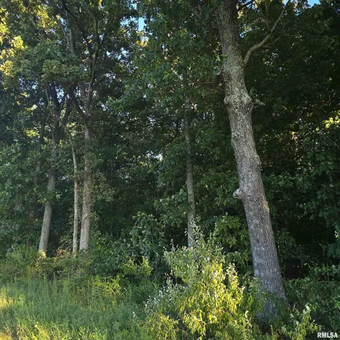 $625,000 | 9647 North Elmhears Lane, Mount Vernon, IL 62864