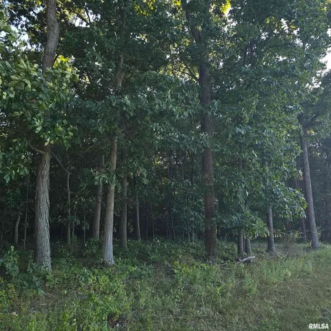 $625,000 | 9647 North Elmhears Lane, Mount Vernon, IL 62864