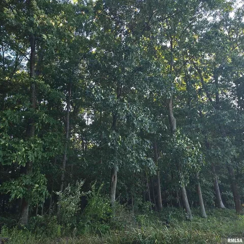 $625,000 | 9647 North Elmhears Lane, Mount Vernon, IL 62864