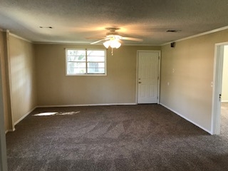 1119 North Alston Street Foley, AL 36535 - Photo 8 of 12