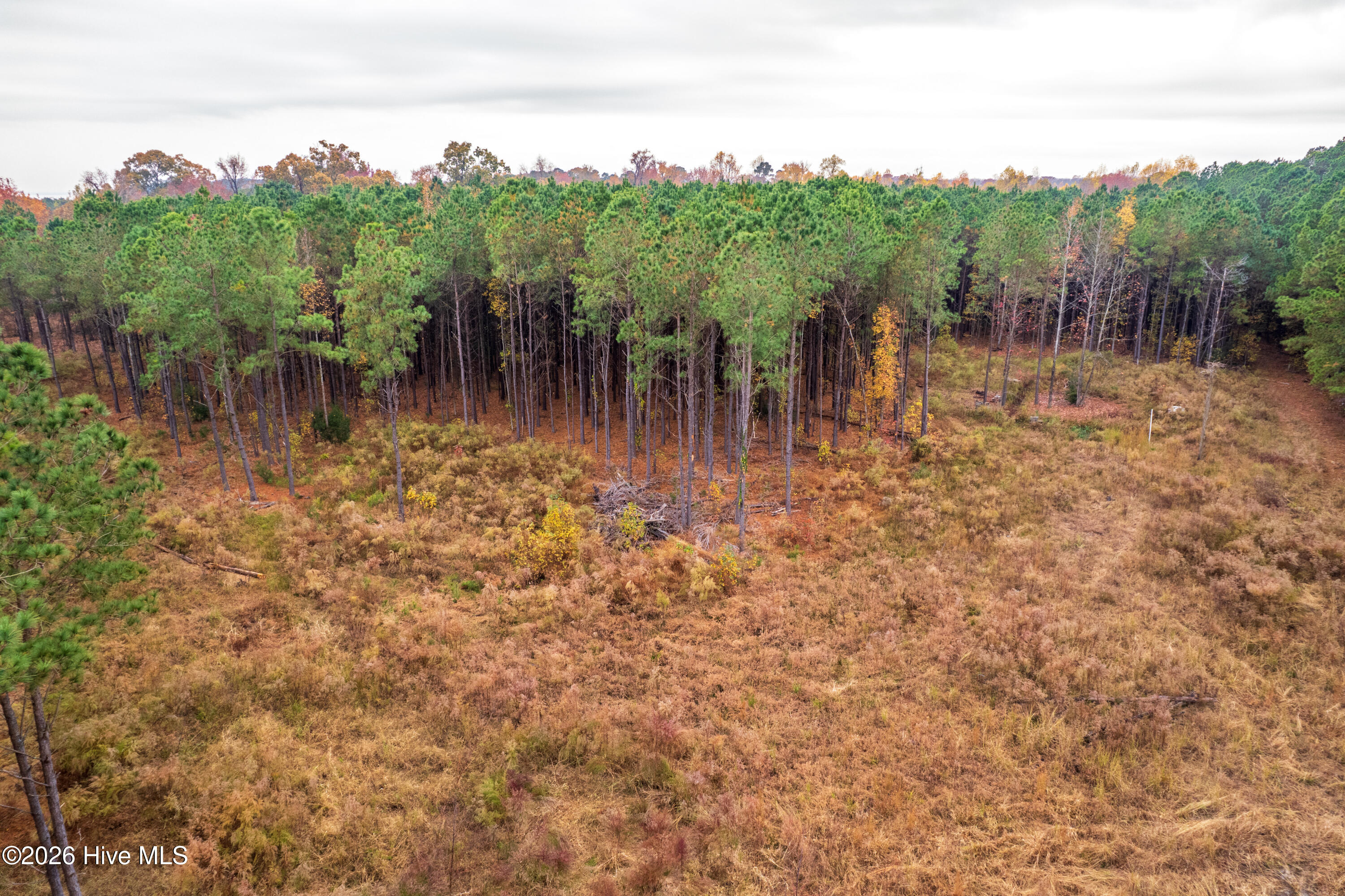 1222 Drummonds Point Road Edenton, NC 27932 - Photo 3 of 6 1222-22