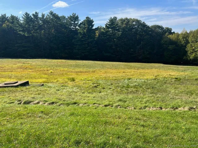 a view of a swimming pool and trees in the background