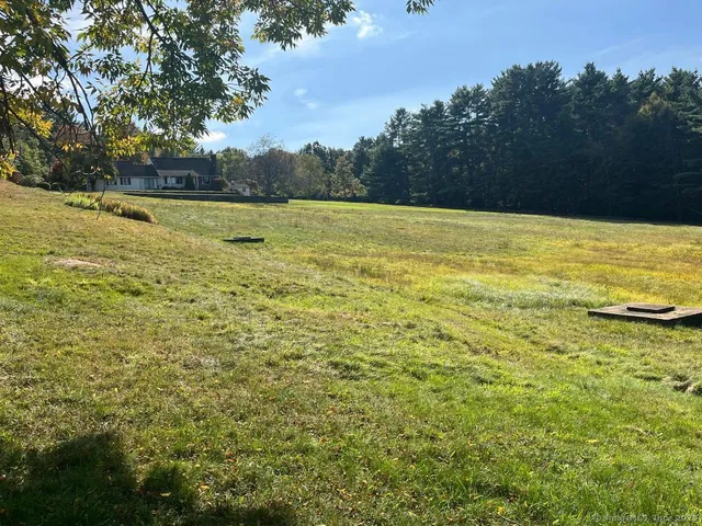 a view of a city with lush green forest