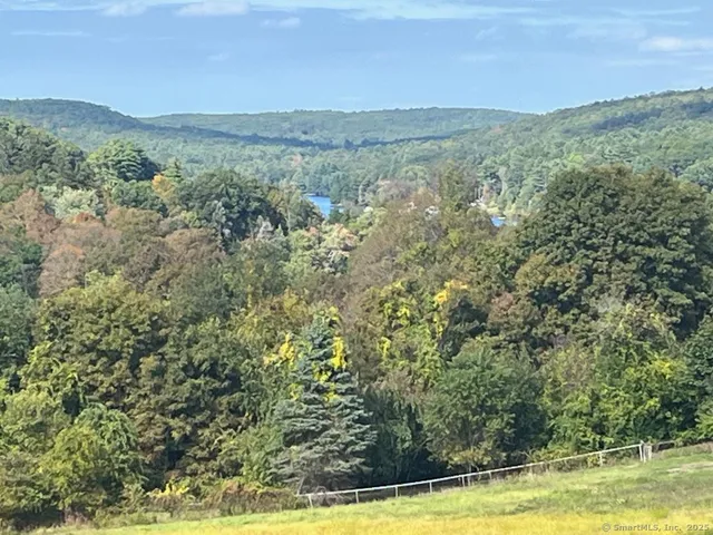a view of an ocean from a yard