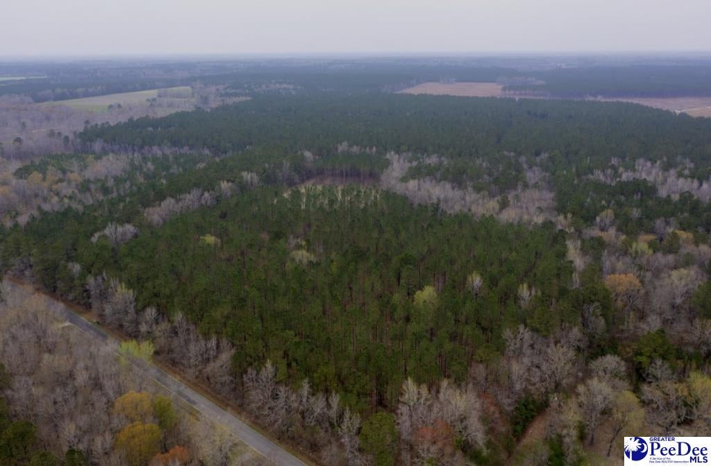 0 Spamm Road Salters, SC 29590 - Photo 3 of 6 Gallery Image 3