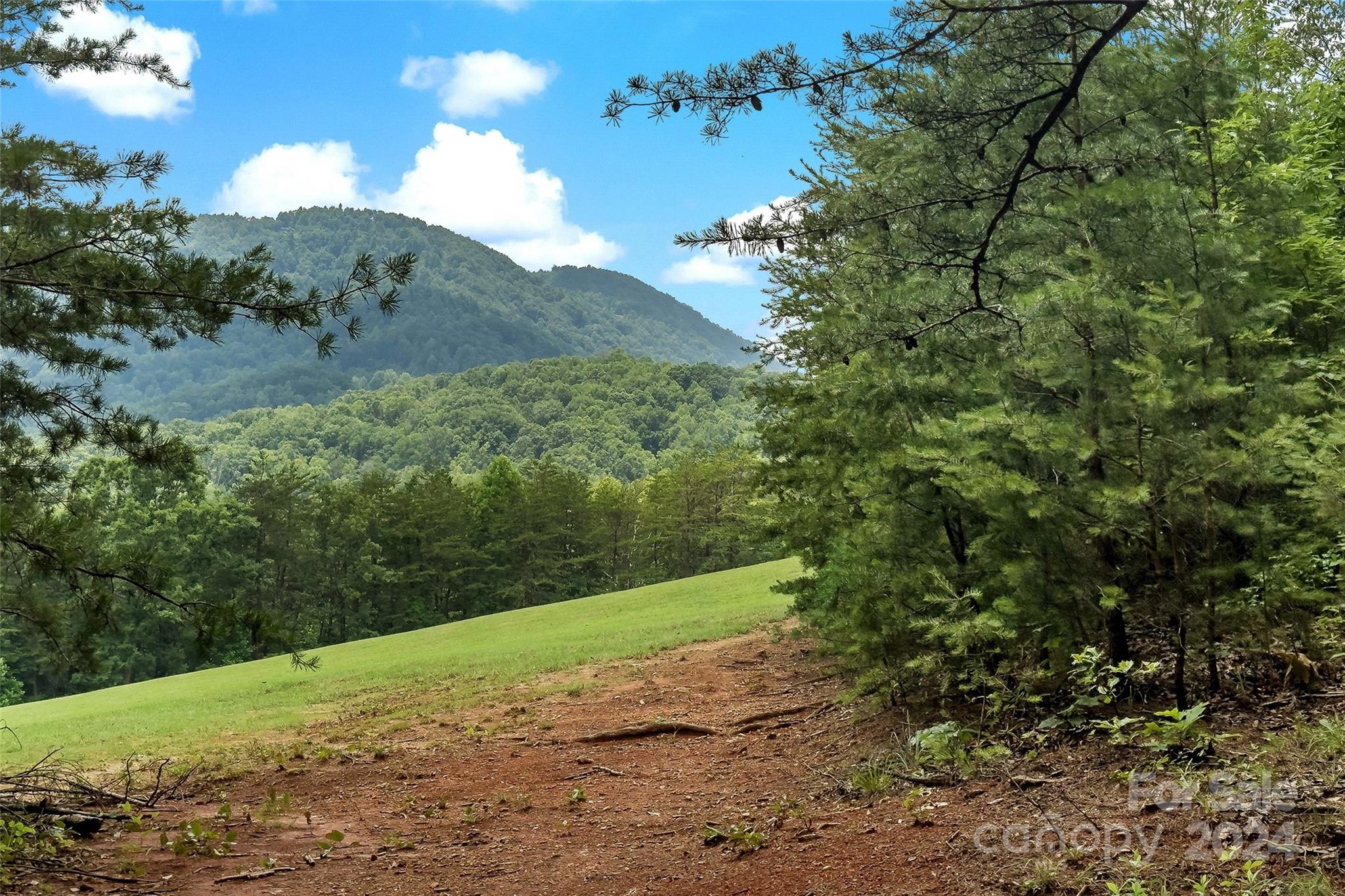 99999 Davis Town Church Road Old Fort, NC 28762 - Photo 2 of 23 a view of a yard with a tree