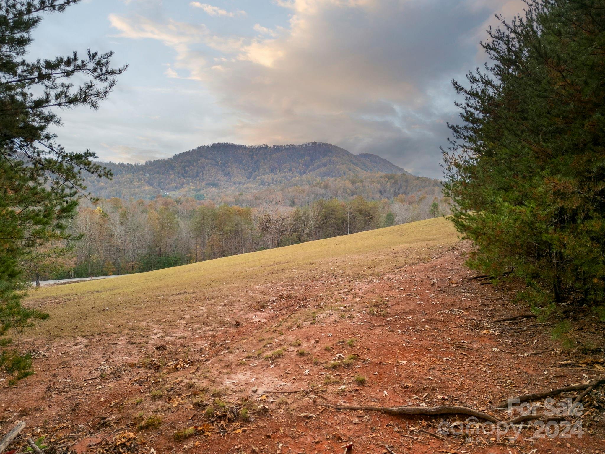 99999 Davis Town Church Road Old Fort, NC 28762 - Photo 6 of 23 a view of lake