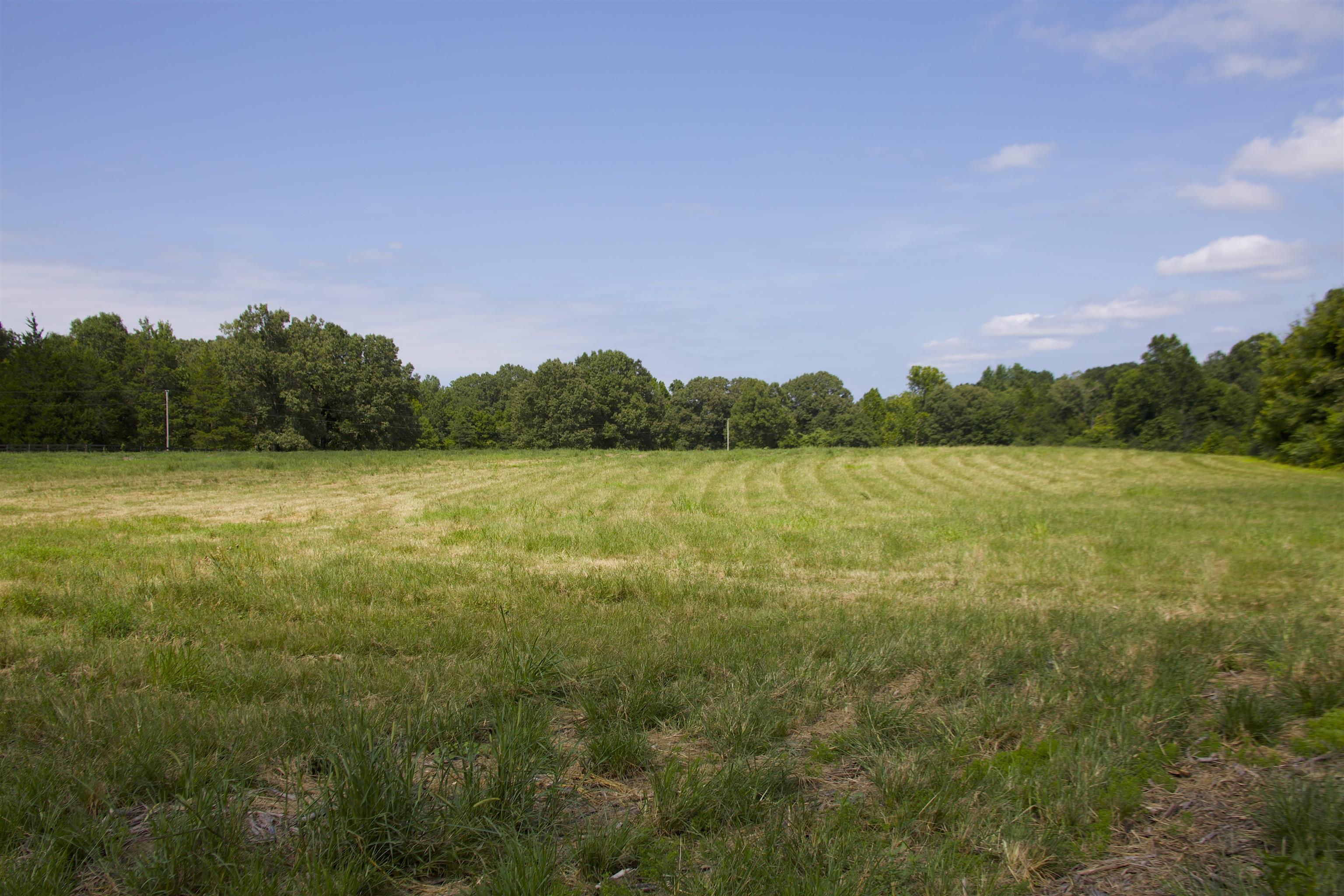 350 Richardson Road Grand Junction, TN 38039 - Photo 5 of 18 Gallery Image 5