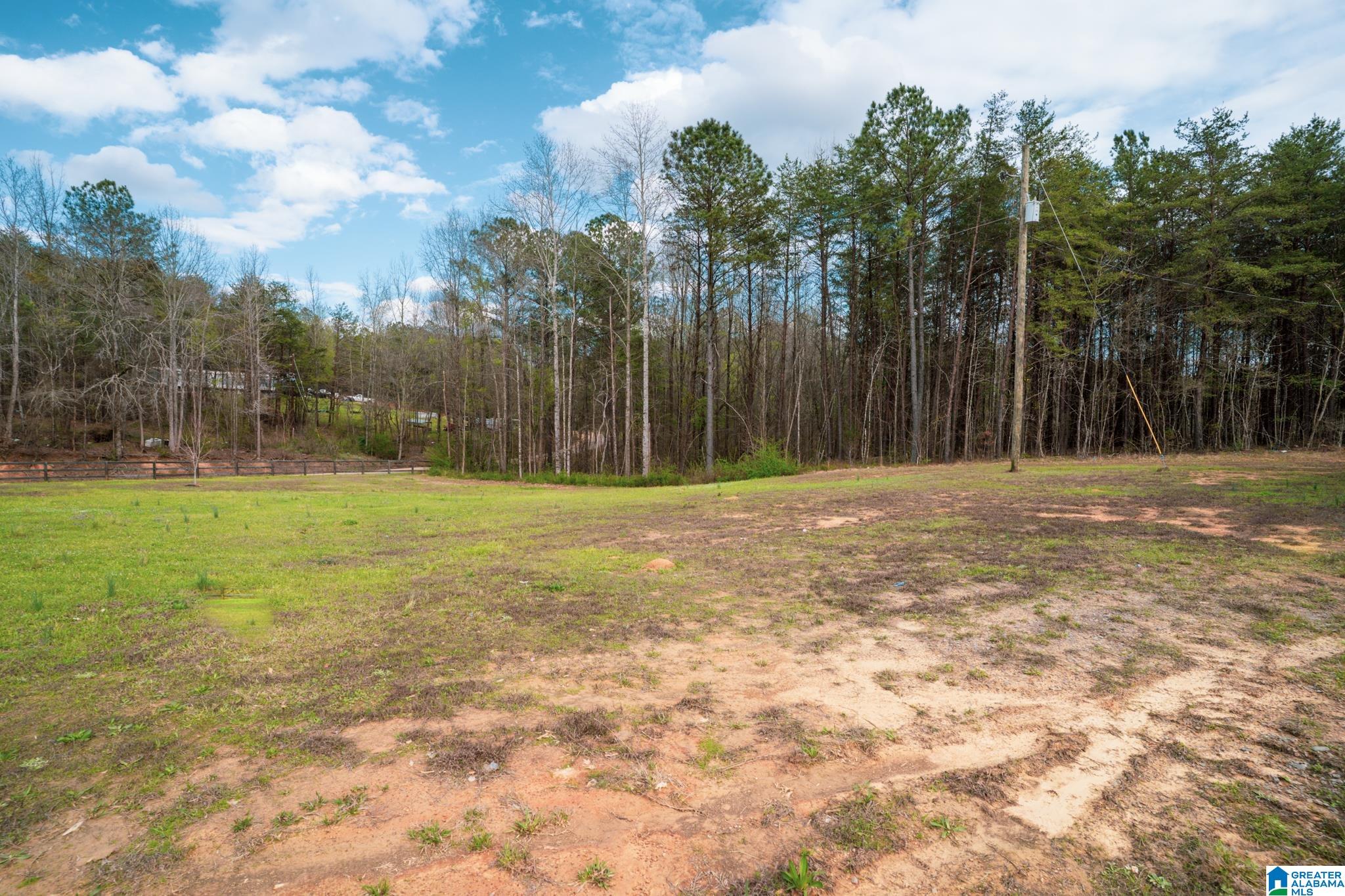 17571 Groundhog Road Adger, AL 35006 - Photo 83 of 94
