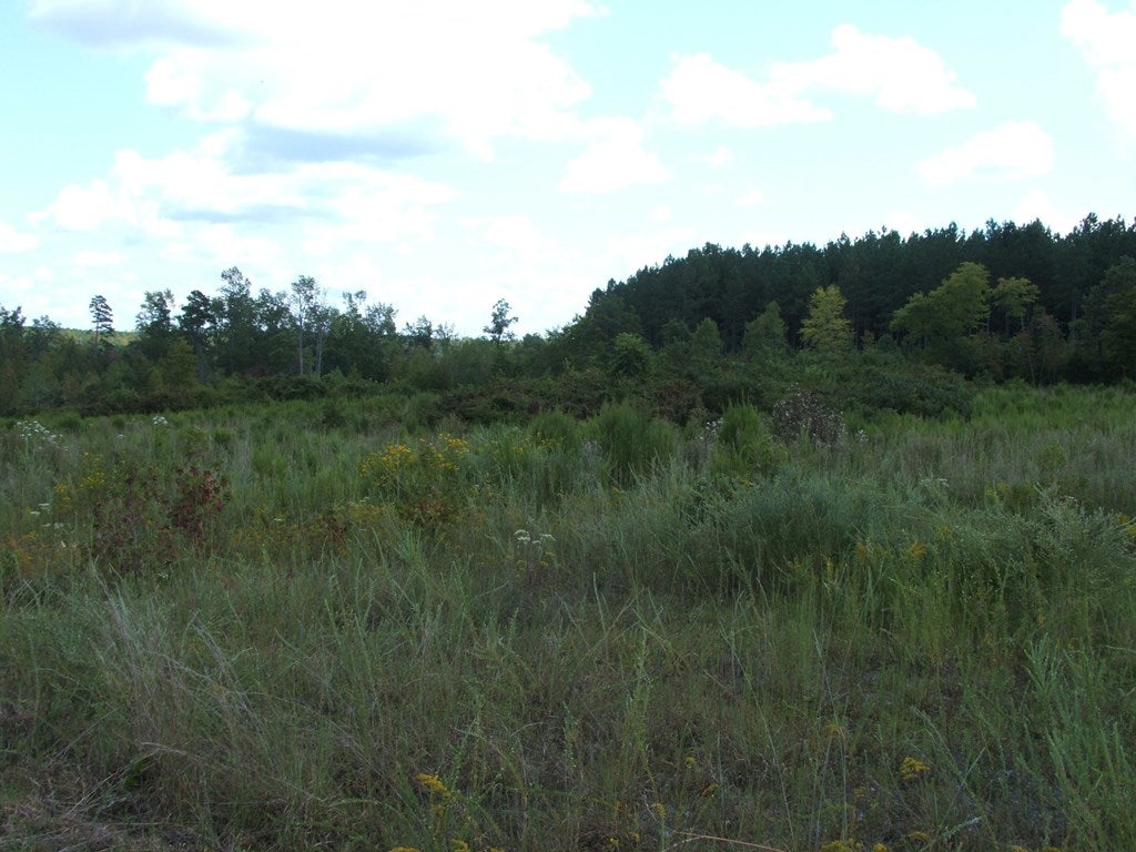632 Newcomb Bridge Road Chase City, VA 23924 - Photo 4 of 7 Gallery Image 4