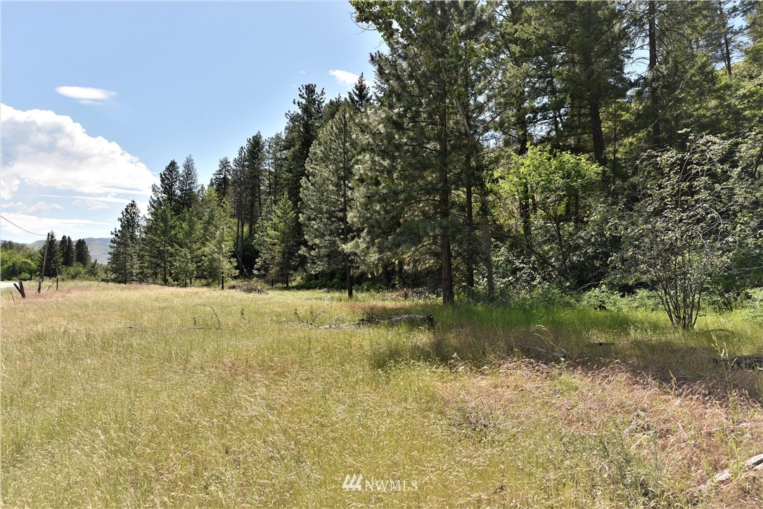 891 Twisp Carlton Road Twisp, WA 98856 - Photo 2 of 27