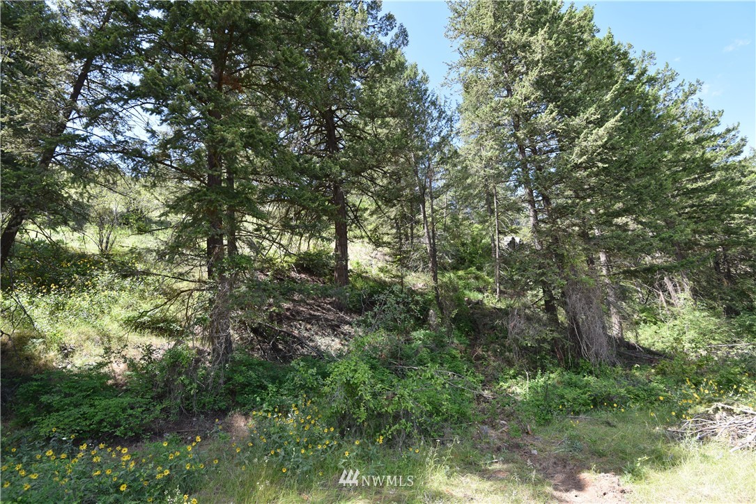 891 Twisp Carlton Road Twisp, WA 98856 - Photo 13 of 27