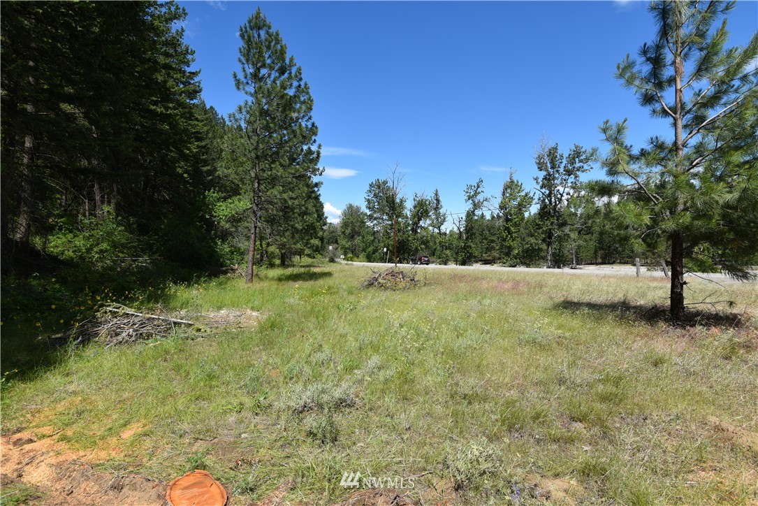 891 Twisp Carlton Road Twisp, WA 98856 - Photo 14 of 27