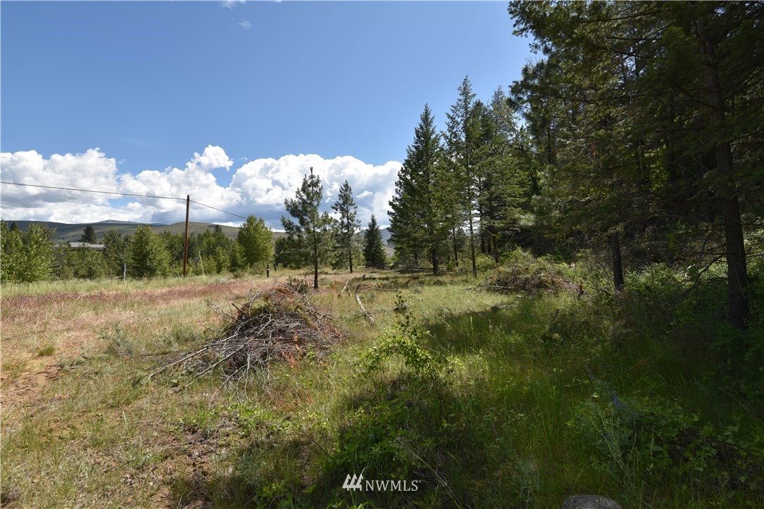 891 Twisp Carlton Road Twisp, WA 98856 - Photo 15 of 27