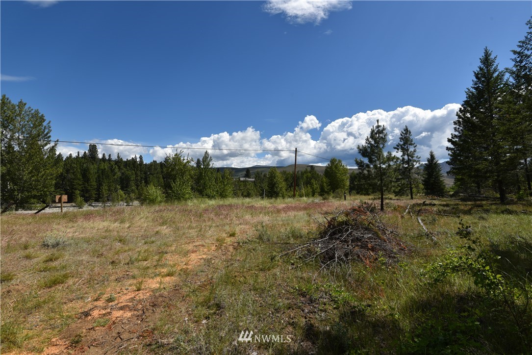 891 Twisp Carlton Road Twisp, WA 98856 - Photo 16 of 27