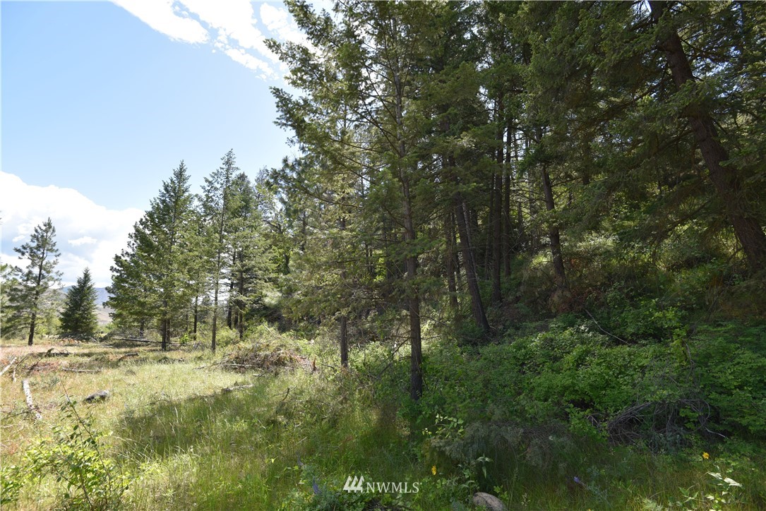 891 Twisp Carlton Road Twisp, WA 98856 - Photo 17 of 27