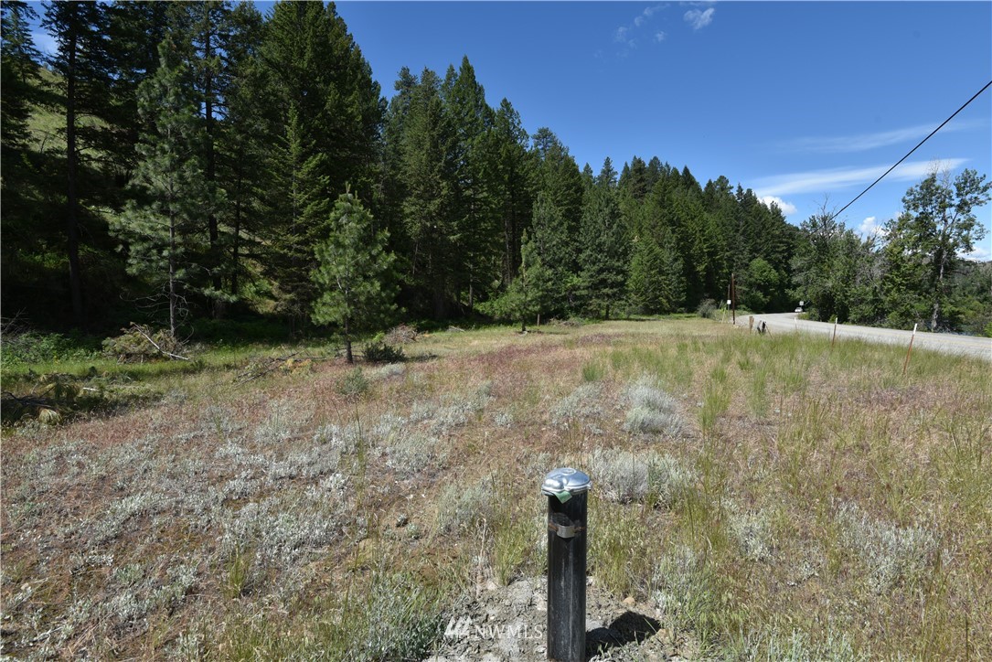 891 Twisp Carlton Road Twisp, WA 98856 - Photo 19 of 27