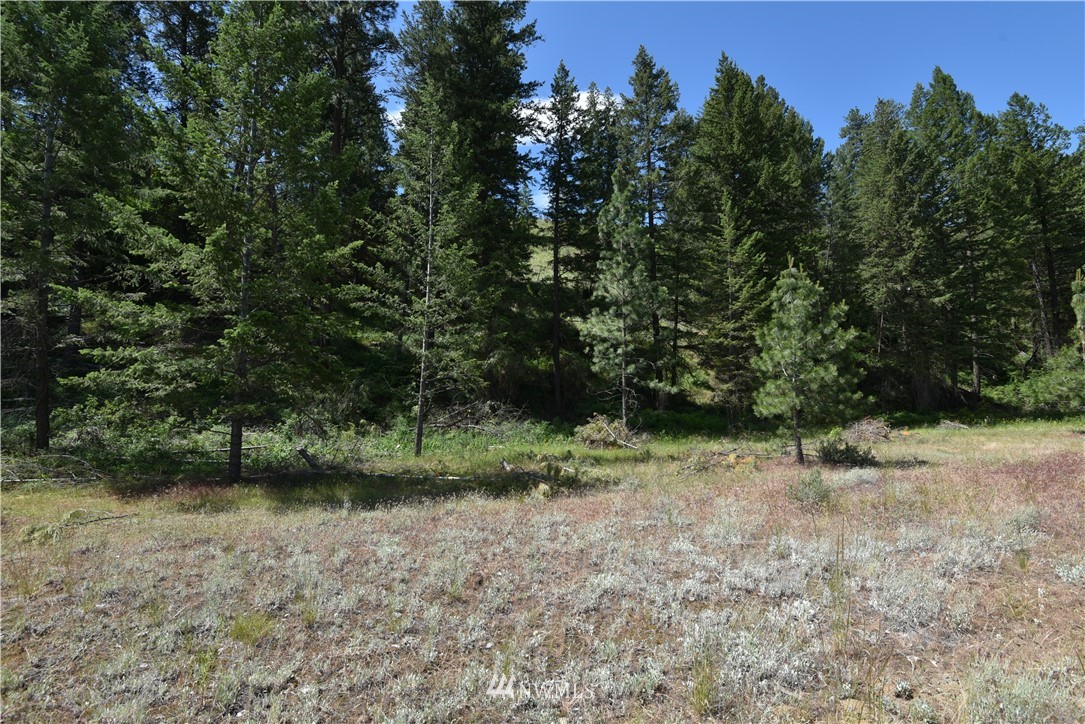 891 Twisp Carlton Road Twisp, WA 98856 - Photo 20 of 27