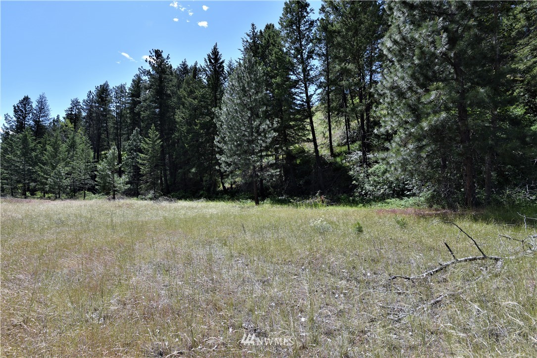 891 Twisp Carlton Road Twisp, WA 98856 - Photo 3 of 27