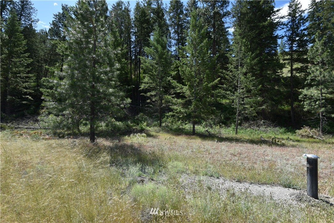 891 Twisp Carlton Road Twisp, WA 98856 - Photo 21 of 27