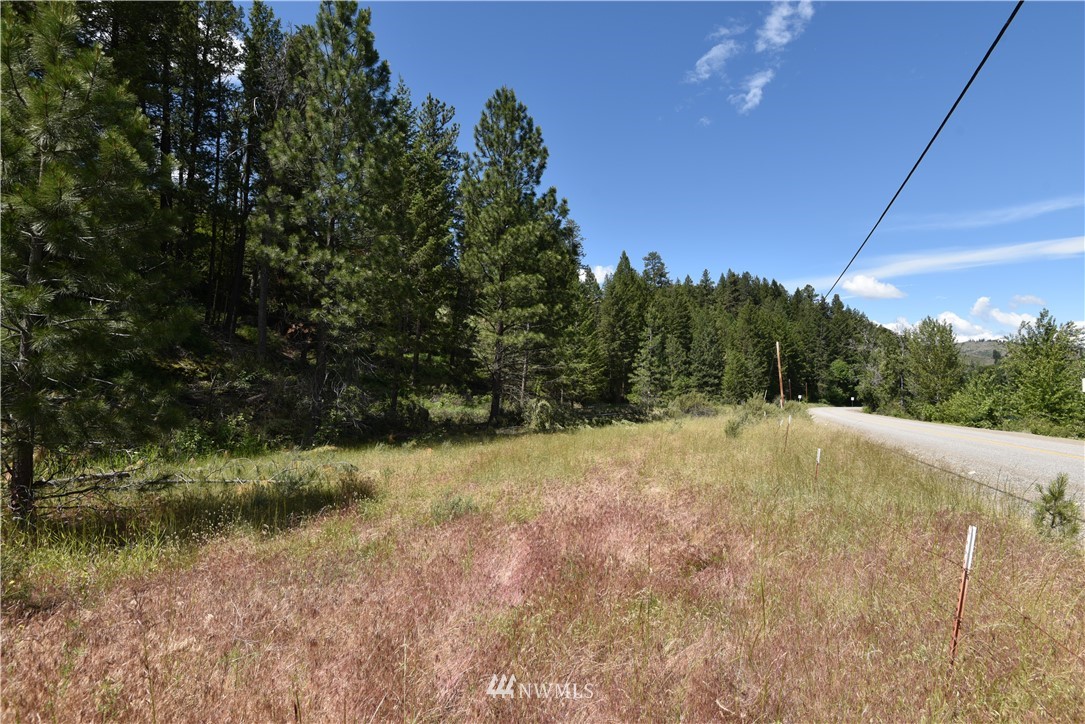 891 Twisp Carlton Road Twisp, WA 98856 - Photo 22 of 27