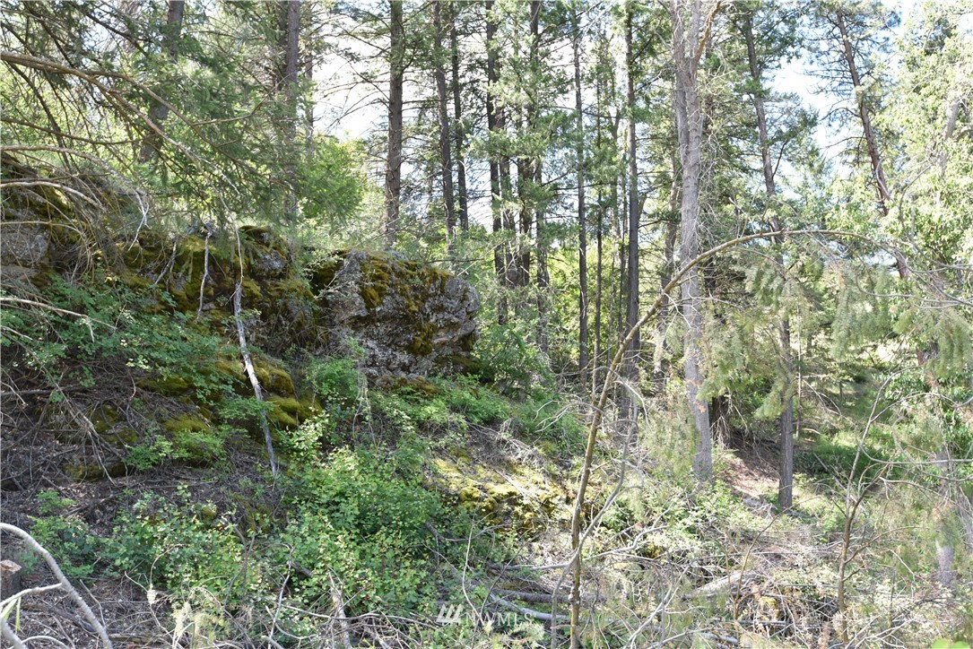 891 Twisp Carlton Road Twisp, WA 98856 - Photo 25 of 27