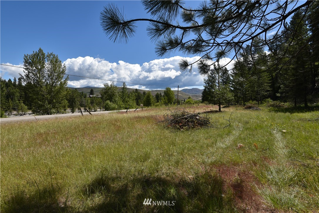 891 Twisp Carlton Road Twisp, WA 98856 - Photo 26 of 27