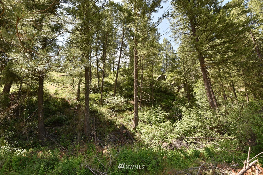 891 Twisp Carlton Road Twisp, WA 98856 - Photo 27 of 27