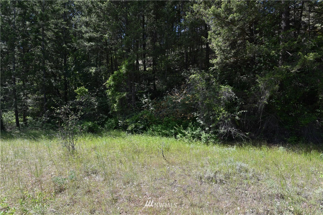 891 Twisp Carlton Road Twisp, WA 98856 - Photo 7 of 27