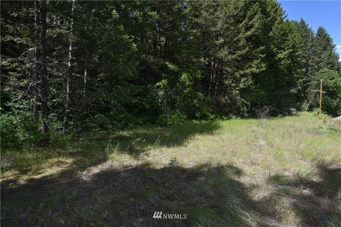 891 Twisp Carlton Road Twisp, WA 98856 - Photo 8 of 27