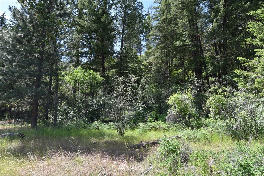 891 Twisp Carlton Road Twisp, WA 98856 - Photo 10 of 27