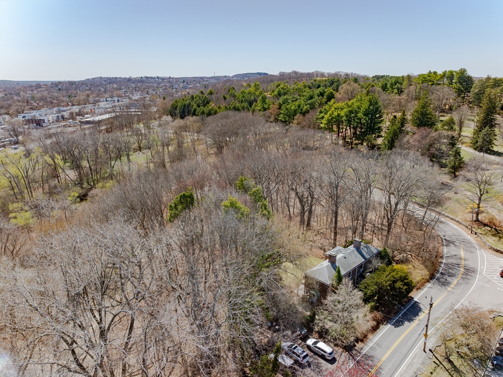 380 South Street Boston, MA 02130 - Photo 14 of 19 a view of a lot of trees and bushes