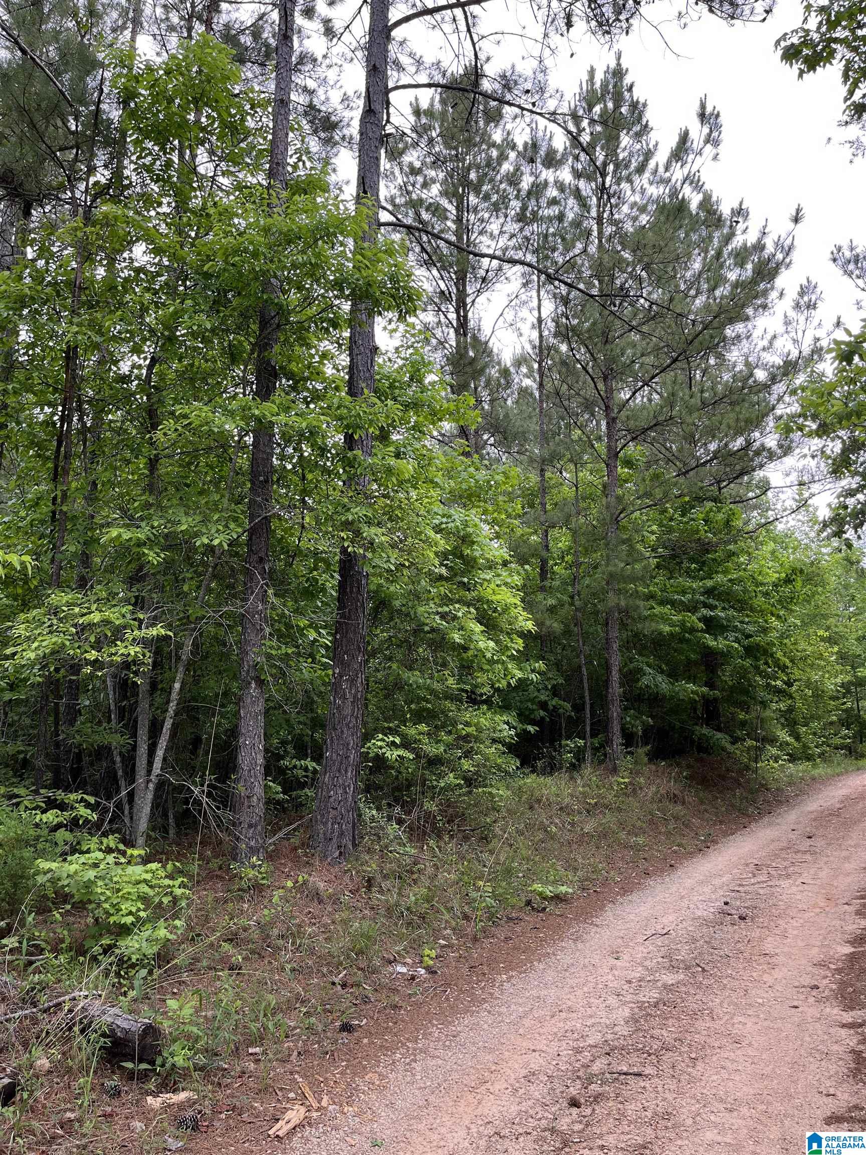 0 Cody Road, Unit LOT 2 Roanoke, AL 36274 - Photo 4 of 4