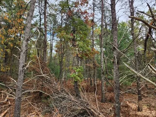 $32,900 | Parcel D West 16th Street, Baldwin, MI 49304